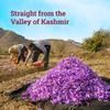 100% Pure Kashmiri Kesar Saffron Threads, Bold and Aromatic, Naturally Vibrant, Glass Jar, 1gram (12) view 3