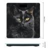 A Black Cat on A Black Background Digital Body Weight Scale High Precision Bathroom Scale with LCD Display, Accurate Weight Scale for Home view 2