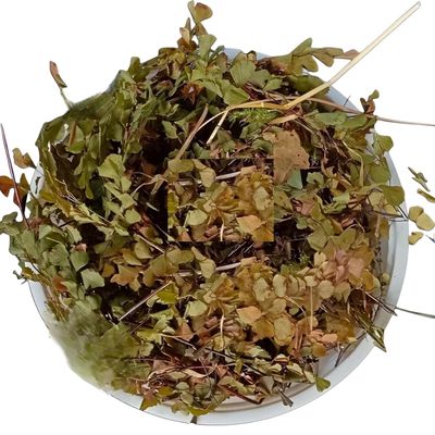 KR Hansraj 100 grm - Pershosha - Adiantum Capillus - Veneris - Hanspadi - Hansraj Black Maiden - Hair Fern - Adiuntum Capillus Dried - Harnsraj Dry herb