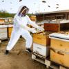 Chewtoyo Beekeeping Suit, L Size White Protective Gear for Men, Full Body Coverage, Features Ventilated Goat Skin Gloves for Beekeepers view 4