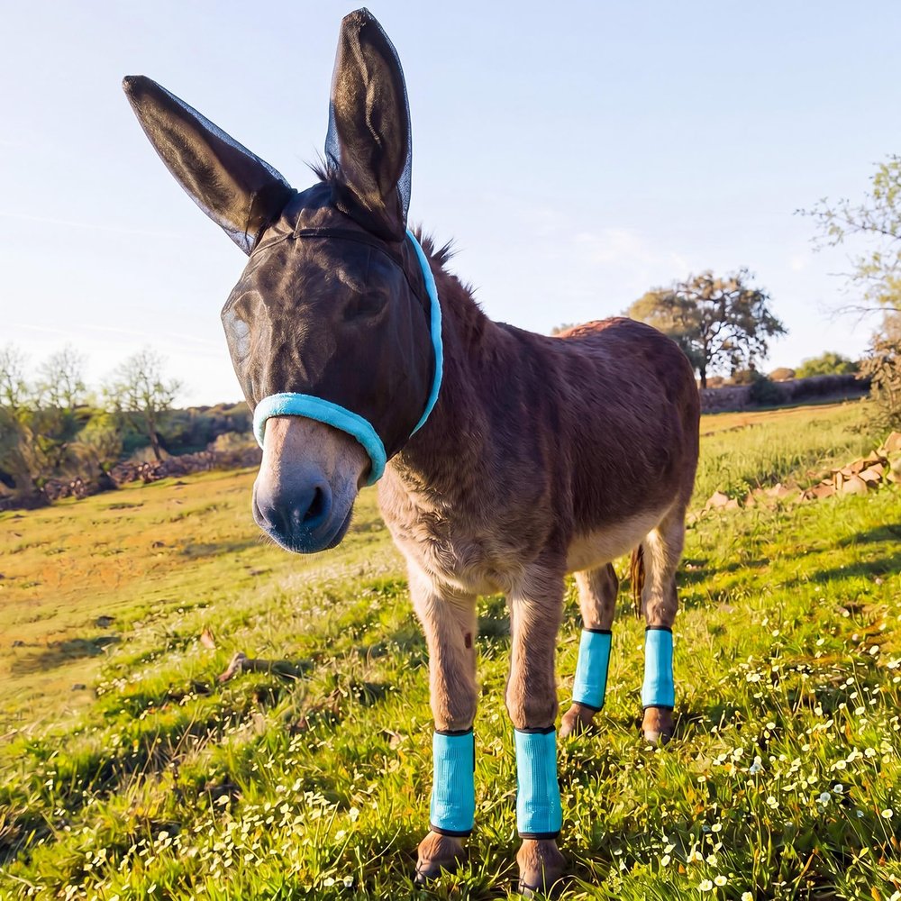 Yeyeplum Mini Donkey Fly Mask with Ears and 4 Set Donkey Fly Boots Mule Leggings, Breathable Stretchy Mule Leg Wraps Mask Boots with Mesh Eye Covers from Insects and Bugs with Adjustable