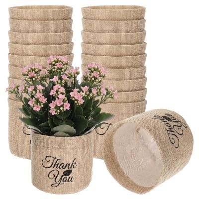 SATINIOR 24 Pack Back to School Teacher Thank You Gift Bulk Succulents Party Favors Burlap Planter Pots Mini Succulent Wrap Bag Bulk Appreciation Gift for Wedding Baby Bridal Shower Volunteer Staff