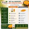 4.4 Lbs Dried Mango, Individually Wrapped Low Sugar Added Mango Slices, Natural & Healthy Fruit Snacks, Kosher, Bulk Bag Approximately 150 Pieces, Perfect for School, Picnics, Lunchboxes, Travel & On-the-Go view 4