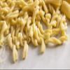Fresh Gemelli Pasta Box view 2