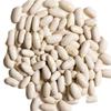 Aiva Cannellini Beans | White Kidney Beans | White Beans 40 LB view 2