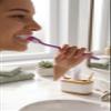 Soft Manual Toothbrush for Daily Oral Care Gentle Cleaning Durable Handle Comfortable Grip Deep Cleaning Toothbrush (Purple) view 3