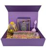 Chixotic Purple Tea Gift Box, Kenyan Purple Tea Care Package, Loose Leaf Tea Gift Set with Honey, Tea Infuser, Audio Ritual, Ready-to-Gift Self Care Gift view 2