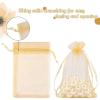 100Pcs Organza Bags 3.5x4.7in (9x12cm) Sheer Drawstring Mesh Pouches for Jewelry Candy Wedding Party Favor Gift Wrapping Supplies Satin Ribbon Gift Sachets Light Green,3.5x4.7in (9x12cm) view 3