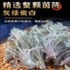 1(250g) Premium Natural china herbal tea Loose Leaf Tea,Chinese Tea, Sulfur Free,Flower tea,dark tea,loose tea Sweet Fresh view 3