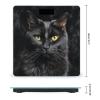 A Black Cat on A Black Background Scale for Body Weight Highly Accurate Digital Bathroom Scales Sturdy Tempered Glass Weighing Scale with LCD Display Fashion Body Fat Smart Scales 400lb view 2
