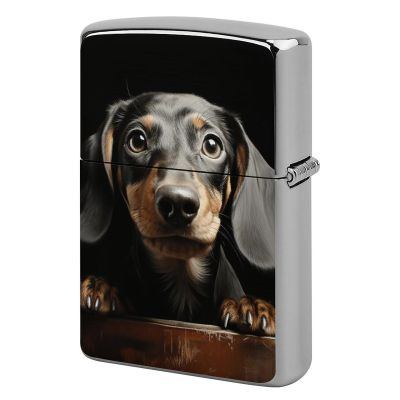 Custom Pad Dachshund Lighter Case Personalized Metal Lighter Cover Holder Reusable Shockproof Protective Lighters Without Insert Gift for Men Women Dad Husband