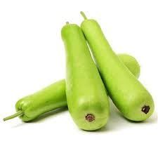 Fresh Dudhi or Lauki 3lb