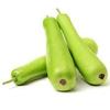 Fresh Dudhi or Lauki 3lb view 1