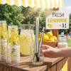 Ferrochef 50 Set Lemonade Stand Supplies 32 oz Lemonade Stand Kits 50 Lemon Plastic Cups Yellow Lemon Drink Cups with Lids Straws, Straw Puncher, Muddler, Mixing Spoon, Cleaning Brush for Summer Party view 4