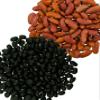 CLEAR CREEK Washington State Grown Black Beans and Kidneys | 36 LB (2-18 lb Bags) | Non-GMO | Vegan | Kosher | Non-Irradiated | Dry Black Beans | Frijoles Negros view 2