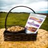 Apikai - Roasted Fava Beans (Natural) - Pack of 3 view 4