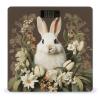 A Beautiful White Rabbit Scale for Body Weight Highly Accurate Digital Bathroom Body Scale Bright LCD Display & Large Clear Numbers Tempered Glass Safe Rounded Corners for Home Use view 1