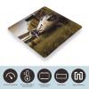 Abandoned Plane Scale for Body Weight Highly Accurate Digital Bathroom Body Scale Bright LCD Display & Large Clear Numbers Tempered Glass Safe Rounded Corners for Home Use view 3