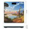 African Landscape with Nile River And Giraffe Scale for Body Weight Highly Accurate Digital Bathroom Body Scale Bright LCD Display & Large Clear Numbers Tempered Glass Safe Rounded Corners for Home Us view 2