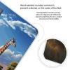 African Landscape with Nile River And Giraffe Scale for Body Weight Highly Accurate Digital Bathroom Body Scale Bright LCD Display & Large Clear Numbers Tempered Glass Safe Rounded Corners for Home Us view 4