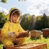Chewtoyo Explorers Bee Suit - Full Body Yellow Suit, Cotton Twill for Explorers Size L view 4