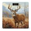 Buck Deer Weight Scale High Precision Digital Body Scale Cute Compact Slim Bathroom Scale Sleek Modern Personal Body Weighing Machine for Bedroom Kitchen and Bathroom view 1