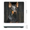 Doberman Weight Scale High Precision Digital Body Scale Cute Compact Slim Bathroom Scale Sleek Modern Personal Body Weighing Machine for Bedroom Kitchen and Bathroom view 2