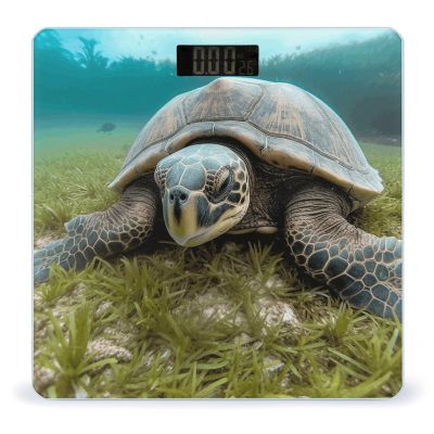 Big Tortoise Weight Scale High Precision Digital Body Scale Cute Compact Slim Bathroom Scale Sleek Modern Personal Body Weighing Machine for Bedroom Kitchen and Bathroom