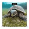 Big Tortoise Weight Scale High Precision Digital Body Scale Cute Compact Slim Bathroom Scale Sleek Modern Personal Body Weighing Machine for Bedroom Kitchen and Bathroom view 1