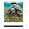 Big Tortoise Weight Scale High Precision Digital Body Scale Cute Compact Slim Bathroom Scale Sleek Modern Personal Body Weighing Machine for Bedroom Kitchen and Bathroom view 2
