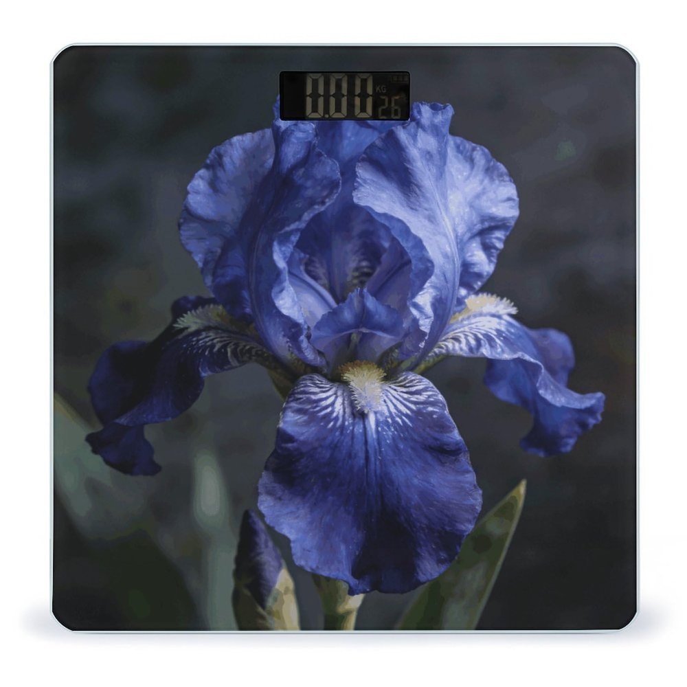A Dreamy Deep Blue Scale for Body Weight Automatic On Or Off Digital Scale 4-Sensor Bathroom BMI Scales Bright LED Display and Clear Numbers Scales for Pet Bedroom
