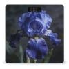 A Dreamy Deep Blue Scale for Body Weight Automatic On Or Off Digital Scale 4-Sensor Bathroom BMI Scales Bright LED Display and Clear Numbers Scales for Pet Bedroom view 1