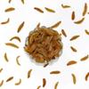 JB Organic Afghani Green Raisins Seedless | Afghan Golden Kishmish | Long Dry Grapes, 900g view 3