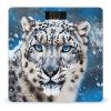 Blue Eyed Snow Leopard Bathroom Scale for Body Weight High Precision Digital Scale for Home Portable Weight Scale with Auto Step-On Function and Clear LCD Easy to Read view 1