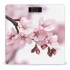 Cherry Blossom Bathroom Scale for Body Weight High Precision Digital Scale for Home Portable Weight Scale with Auto Step-On Function and Clear LCD Easy to Read