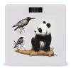 Bird Cedar Panda Bathroom Scale for Body Weight High Precision Digital Scale for Home Portable Weight Scale with Auto Step-On Function and Clear LCD Easy to Read view 1