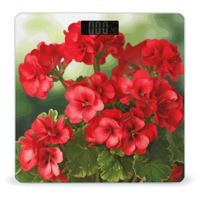 Red Geraniums Bathroom Scale for Body Weight High Precision Digital Scale for Home Portable Weight Scale with Auto Step-On Function and Clear LCD Easy to Read