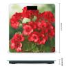 Red Geraniums Bathroom Scale for Body Weight High Precision Digital Scale for Home Portable Weight Scale with Auto Step-On Function and Clear LCD Easy to Read view 2
