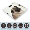 Pug Dog Bathroom Scale for Body Weight High Precision Digital Scale for Home Portable Weight Scale with Auto Step-On Function and Clear LCD Easy to Read view 3