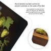 Beer and Hop Cones Bathroom Scale for Body Weight High Precision Digital Scale for Home Portable Weight Scale with Auto Step-On Function and Clear LCD Easy to Read view 4
