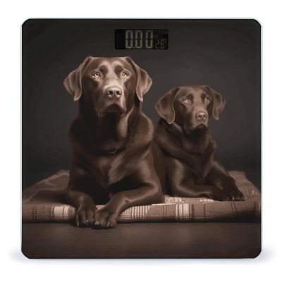 Brown Labrador Retriever Bathroom Scale for Body Weight High Precision Digital Scale for Home Portable Weight Scale with Auto Step-On Function and Clear LCD Easy to Read