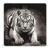 Black and White Tiger Bathroom Scale for Body Weight High Precision Digital Scale for Home Portable Weight Scale with Auto Step-On Function and Clear LCD Easy to Read view 1