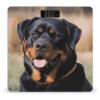 Rottweiler Dog Bathroom Scale for Body Weight High Precision Digital Scale for Home Portable Weight Scale with Auto Step-On Function and Clear LCD Easy to Read view 1
