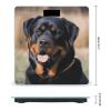 Rottweiler Dog Bathroom Scale for Body Weight High Precision Digital Scale for Home Portable Weight Scale with Auto Step-On Function and Clear LCD Easy to Read view 2