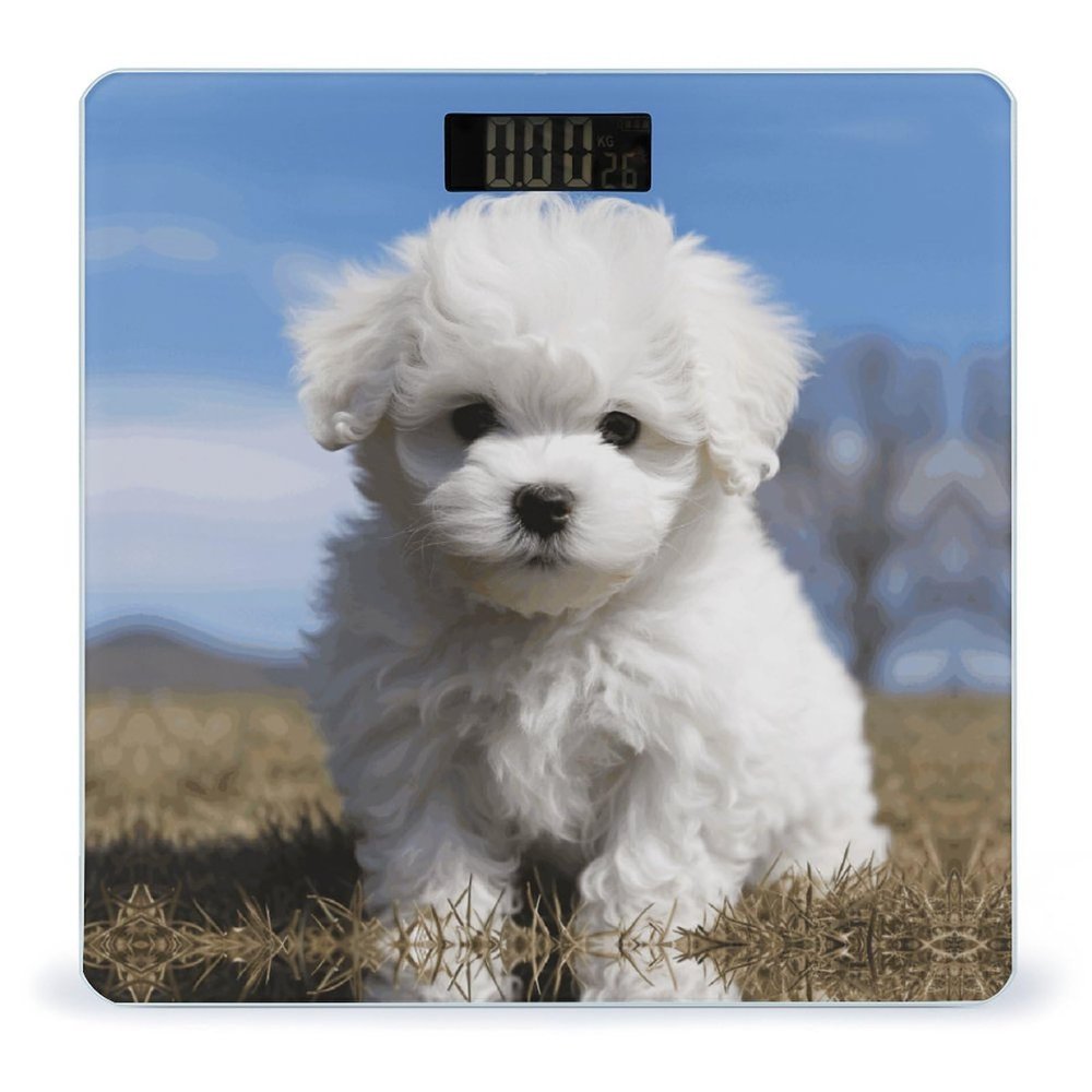 Bichon Frise Dog Bathroom Scale for Body Weight High Precision Digital Scale for Home Portable Weight Scale with Auto Step-On Function and Clear LCD Easy to Read