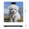 Bichon Frise Dog Bathroom Scale for Body Weight High Precision Digital Scale for Home Portable Weight Scale with Auto Step-On Function and Clear LCD Easy to Read view 2