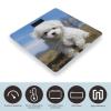 Bichon Frise Dog Bathroom Scale for Body Weight High Precision Digital Scale for Home Portable Weight Scale with Auto Step-On Function and Clear LCD Easy to Read view 3