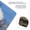 Bichon Frise Dog Bathroom Scale for Body Weight High Precision Digital Scale for Home Portable Weight Scale with Auto Step-On Function and Clear LCD Easy to Read view 4