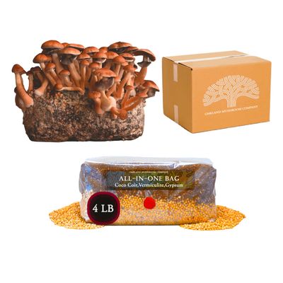 All In One Mushroom Grow Bag By Oakland Mushrrom Co. | Organic Milo Grain & Coco Coir | Self Healing Injecton Port (4lbs)