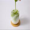 Matcha Green Tea Powder Authentic Japanese Shizuoka Matcha, Stone Ground, Ceremonial Style, 50g (1.76oz) | Perfect for Latte, Baking & Smoothies | SAKURACO view 3